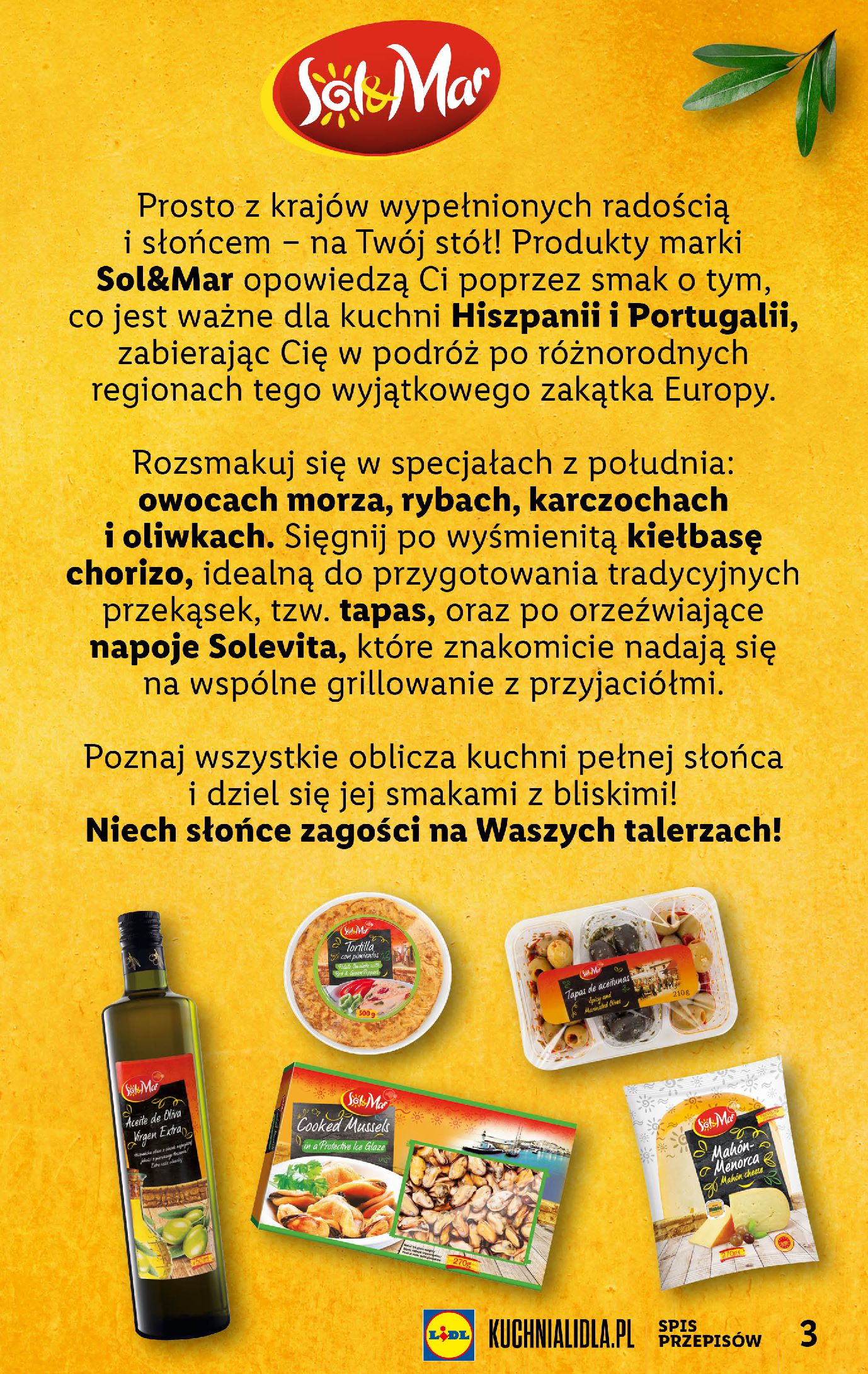 Gazetka Lidl: Gazetka Lidla - Odpalamy grilla - przepisy 2023-05-08 page-3