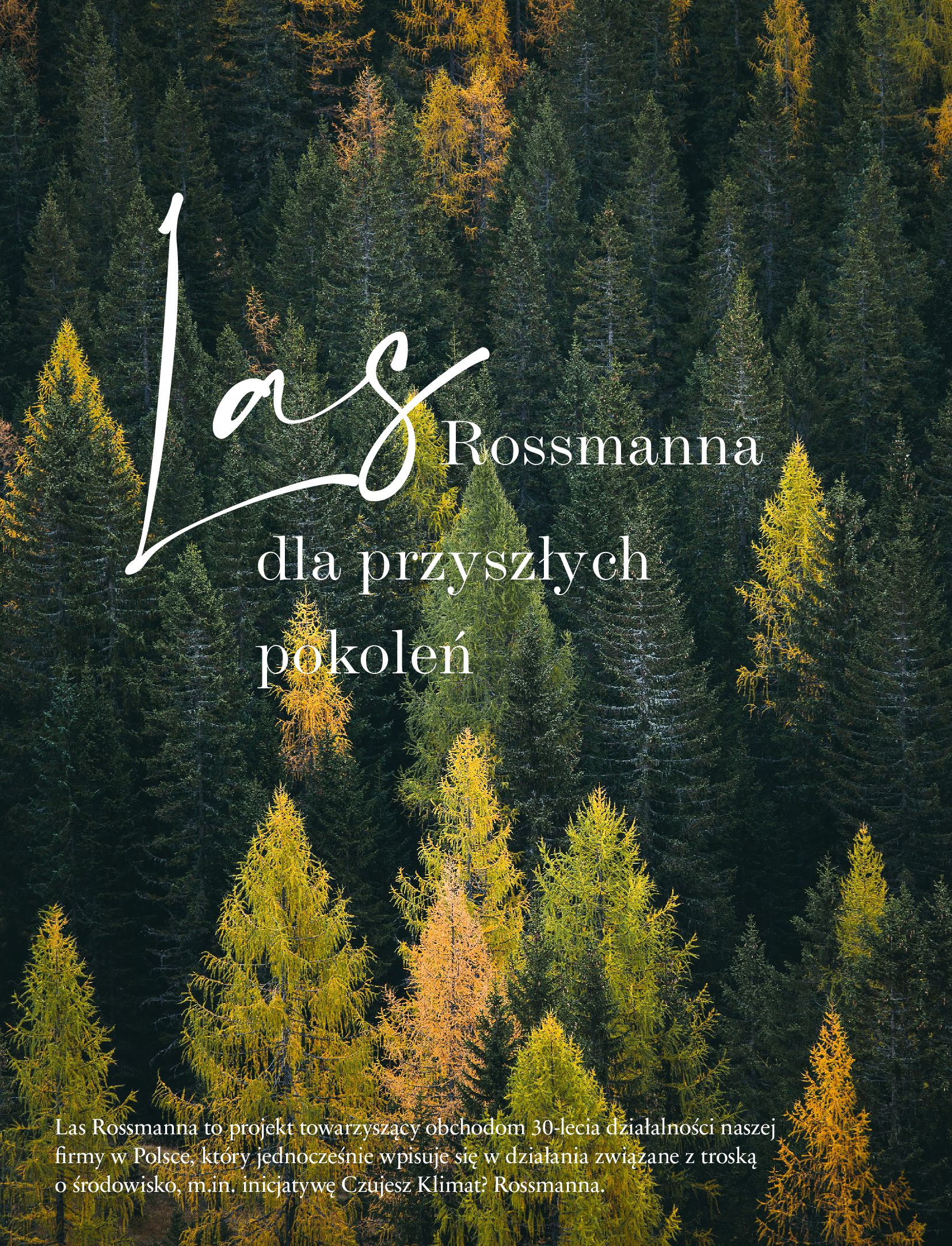 Gazetka Rossmann: Katalog Rossmann - Skarb 2023-06-12 page-8