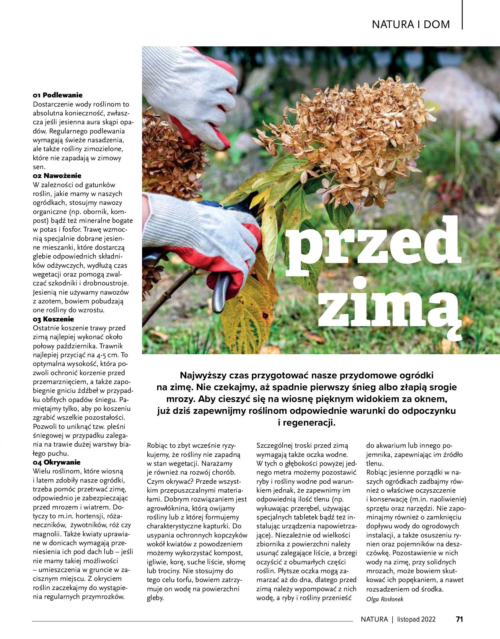 Gazetka Drogerie Natura: Magazyn Drogerie Natura 2022-11-01 page-71