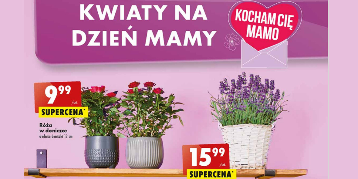 Biedronka: Od 8,99 zł za kwiaty dla Mamy 24.05.2022