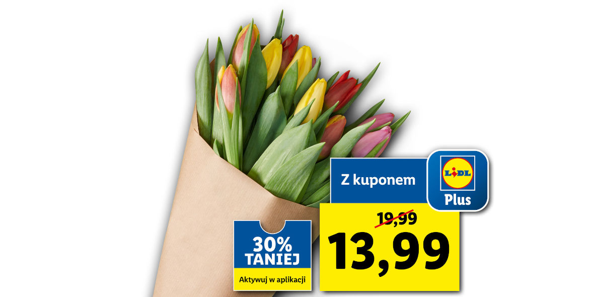 Lidl: -30% na tulipany 20.01.2022