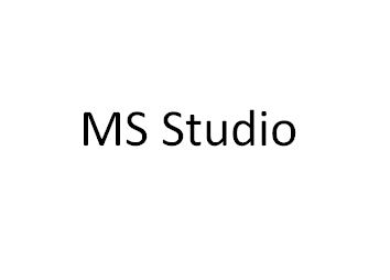 Logo MS-STUDIO