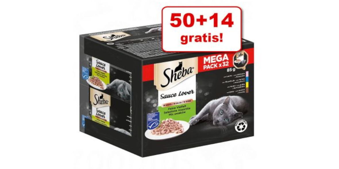 zooplus: 50 + 14 GRATIS - karma Sheba dla kota, 64 x 85 g 25.01.2023