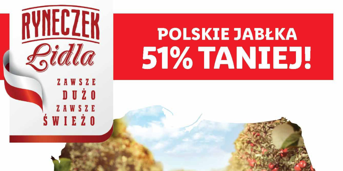 Lidl: -51% na polskie jabłka 13.01.2022