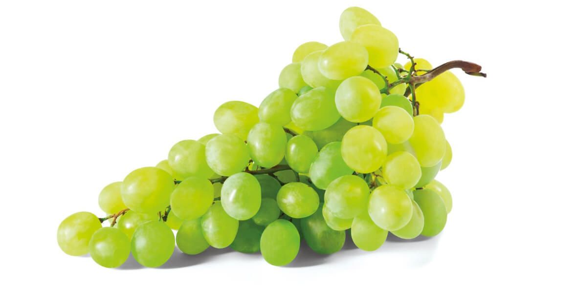 Lidl: -50% na winogrona jasne 02.05.2024