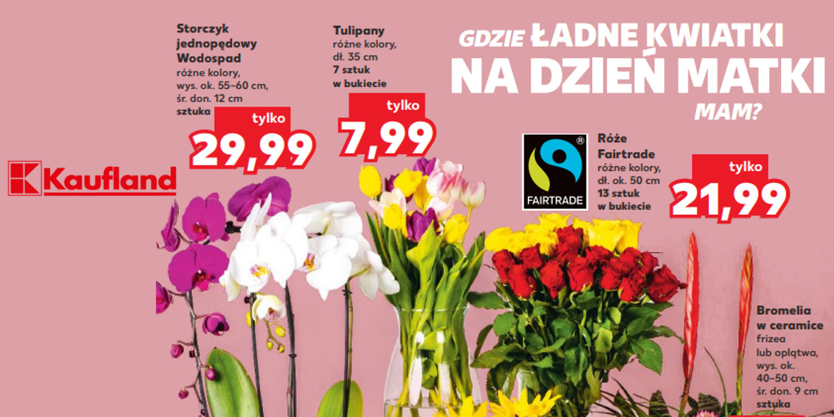 Kaufland: Od 6,99 zł za kwiaty dla Mamy 26.05.2022