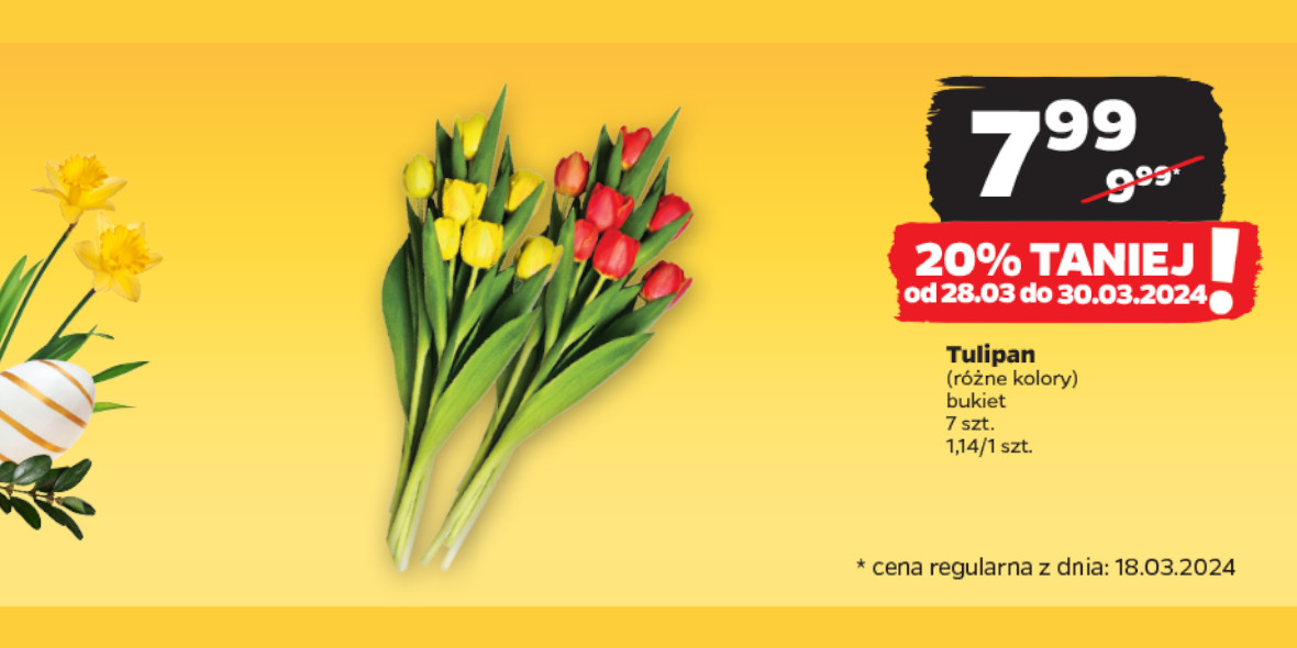 Netto: -20% na tulipany 28.03.2024