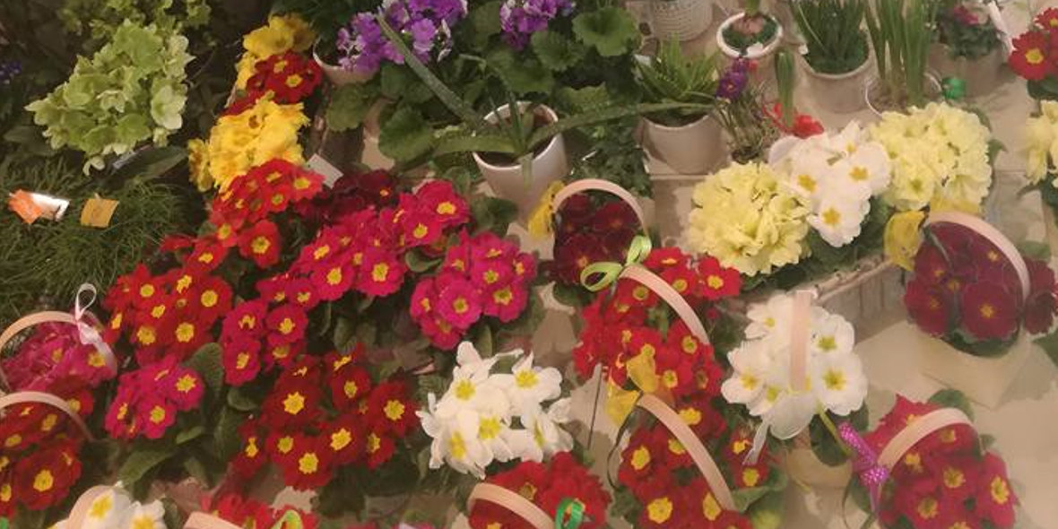 Kwiaciarnia Floribunda: -10% rabatu na zakupy powyżej 100 zł