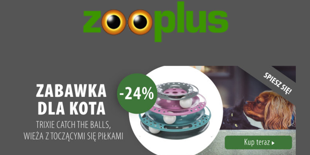 zooplus: -24% na zabawkę dla kota Trixie Catch the Balls 26.01.2022