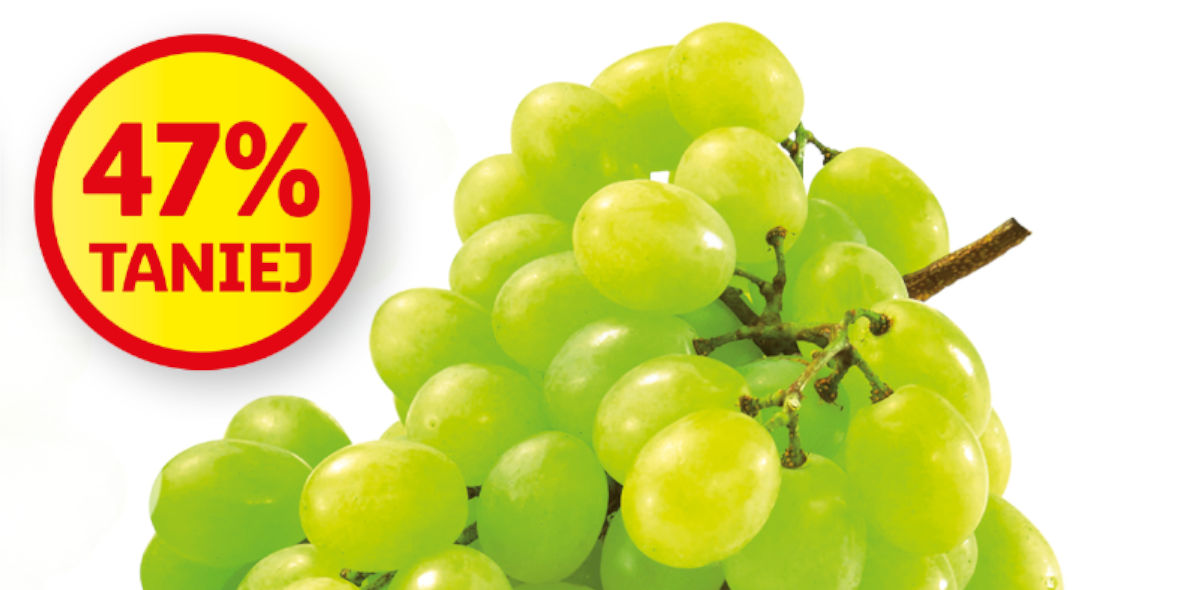 Lidl: -47% na winogrono jasne 11.08.2022