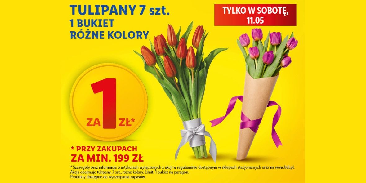 Lidl: 1 zł za bukiet tulipanów 11.05.2024