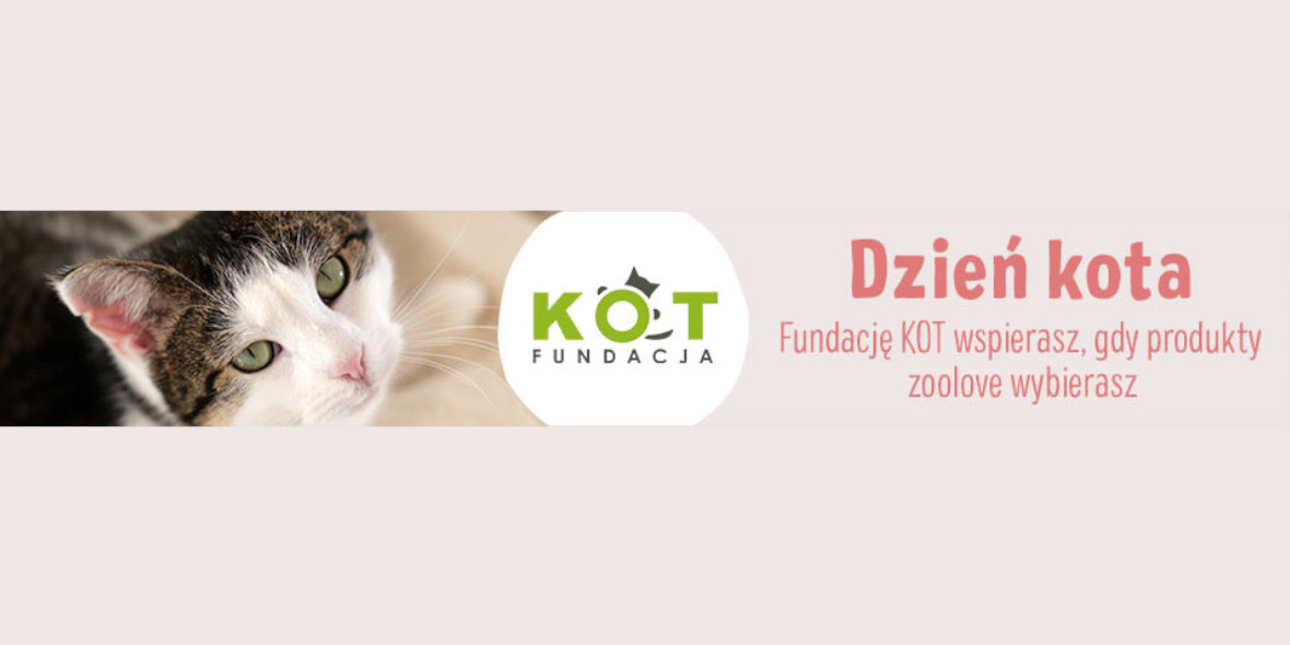 zooplus:  Świętuj Dzień Kota i zrób coś dobrego! 02.02.2023