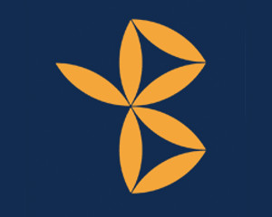 Logo Bukovina