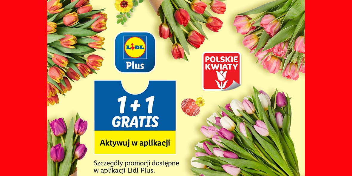 Lidl: 1 + 1 GRATIS na tulipany 24.03.2023