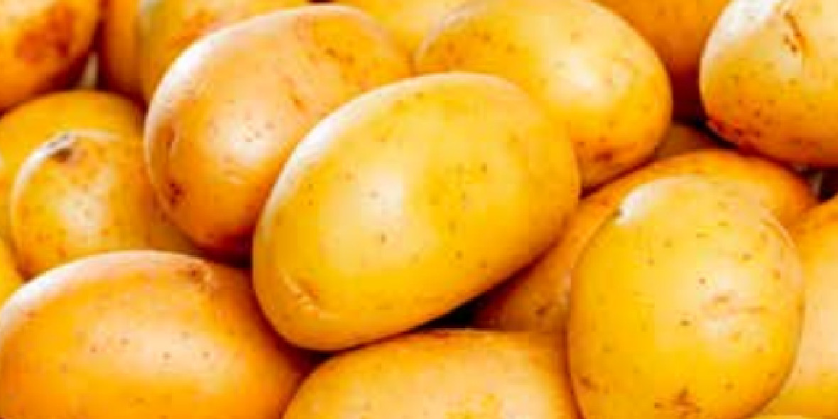 Aldi: -50% na ziemniaki jadalne myte 02.10.2023