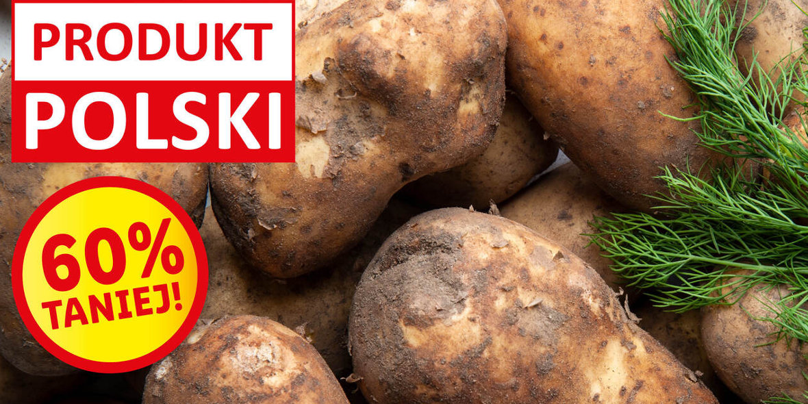 Lidl: -60% na polskie ziemniaki niemyte 16.08.2022