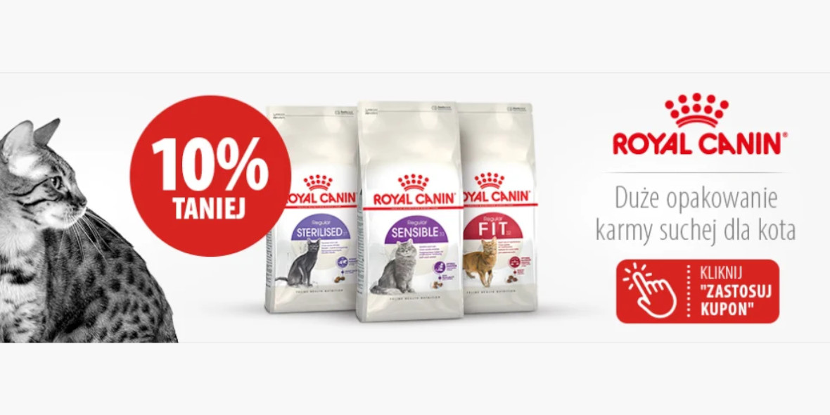 zooplus: -10% na karmę dla kota Royal Canin 29.03.2023
