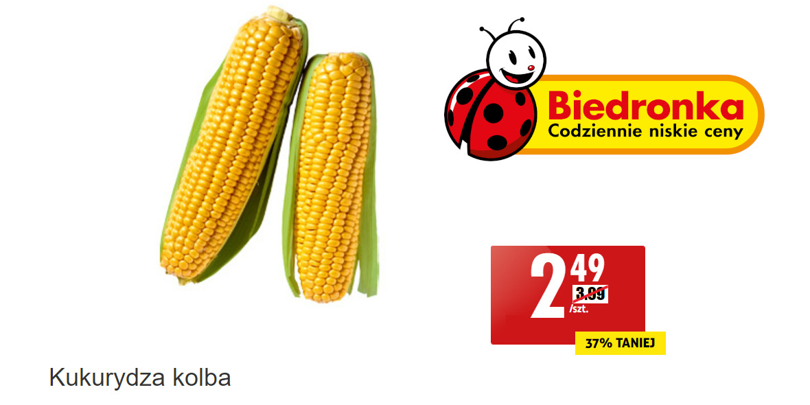 Biedronka: -37% na kukurydzę w kolbie 11.08.2022