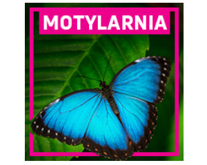 Motylarnia